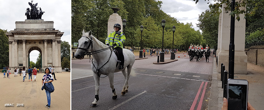 5 Shinta Horse Guards